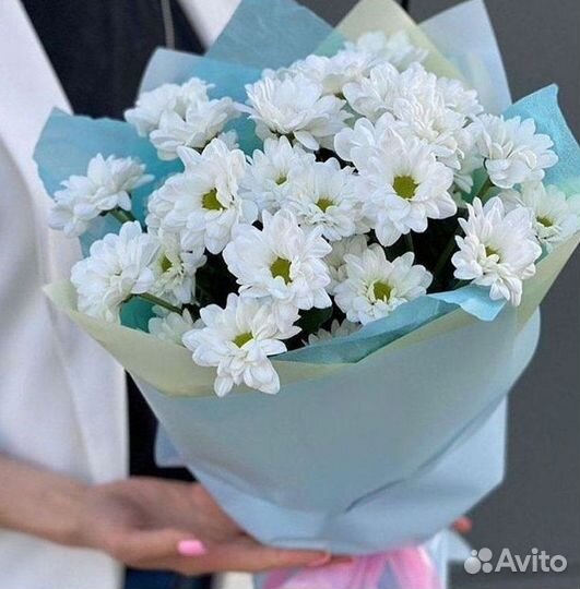 Хризантема