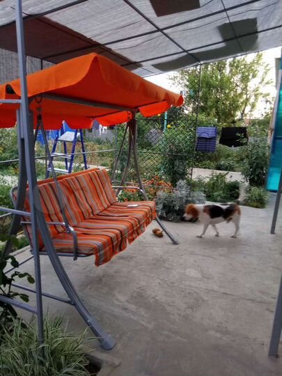 Комната 20 м² в 1-к., 1/1 эт.