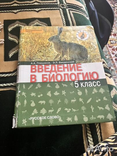 Книга