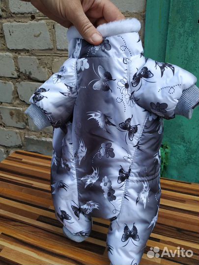 Комбинезон для маленькой собаки