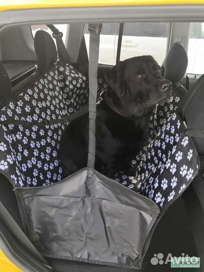 Автогамак для собак