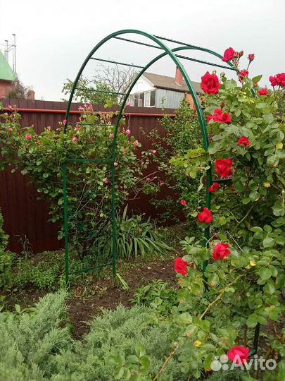 Арка садовая кованая