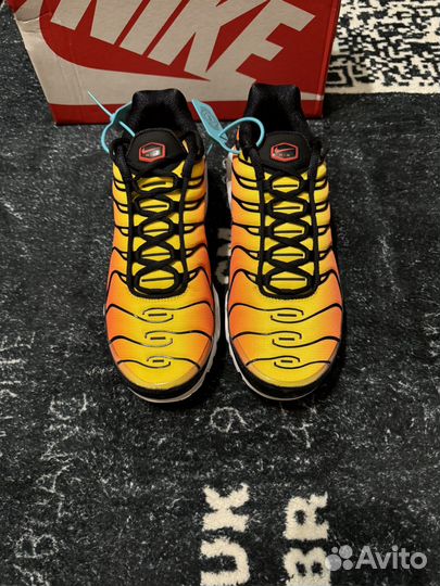 Nike Air Max Tn Plus