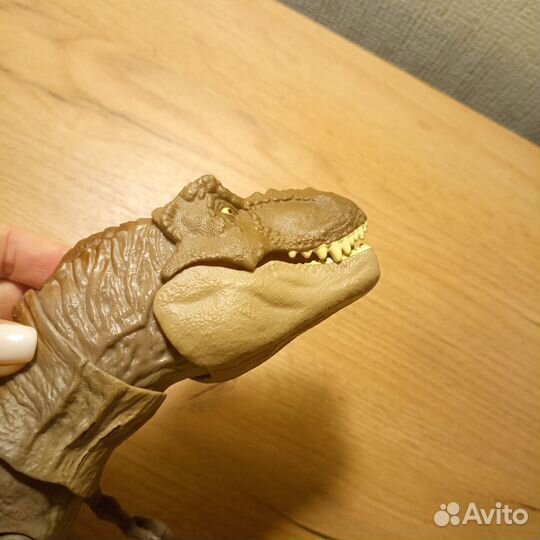 Динозавр рекс