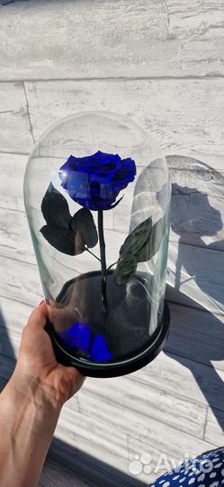 Роза в колбе