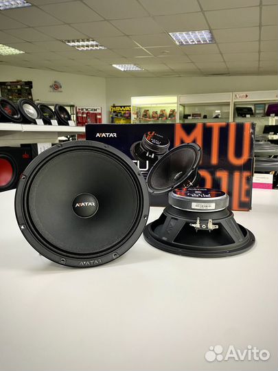 Эстрадная акустика Avatar MTU-81LE