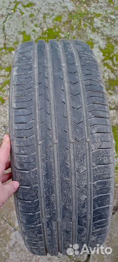 Continental ContiPremiumContact 195/55 R16 91V