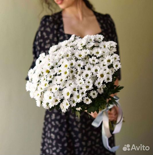 Хризантема