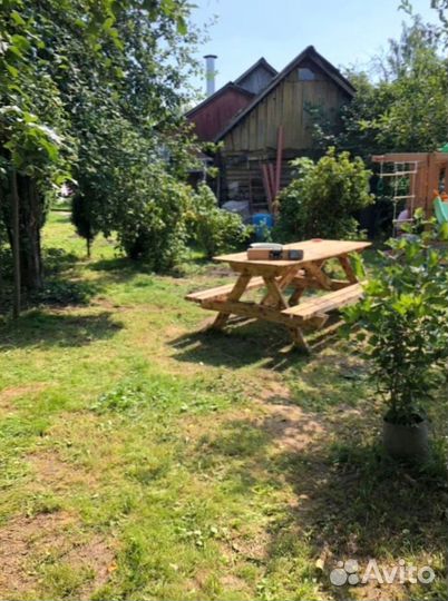 Рулонный газон 