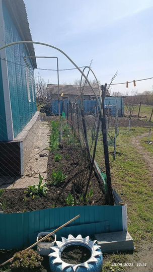 Дом 65 м² на участке 50 сот.