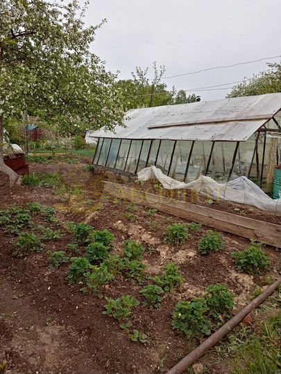 Участок 5,3 сот. (СНТ, ДНП)