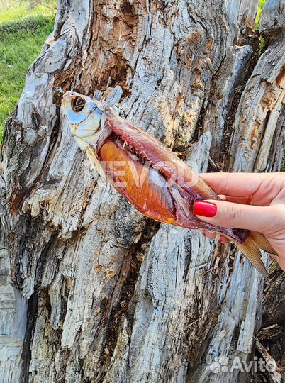 Астраханская вяленая вобла