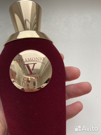 V Canto Stramonio