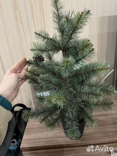 Елочка новогодняя