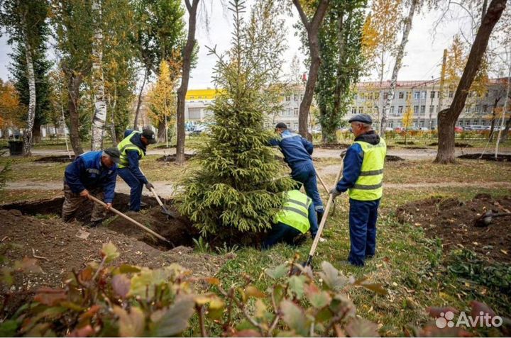 Разнорабочие. Копка траншей