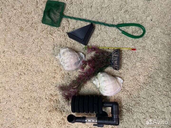 Аквариум для рыб