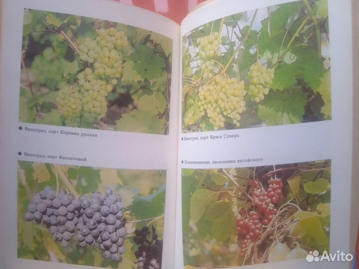 Книги для вашего сада и огорода