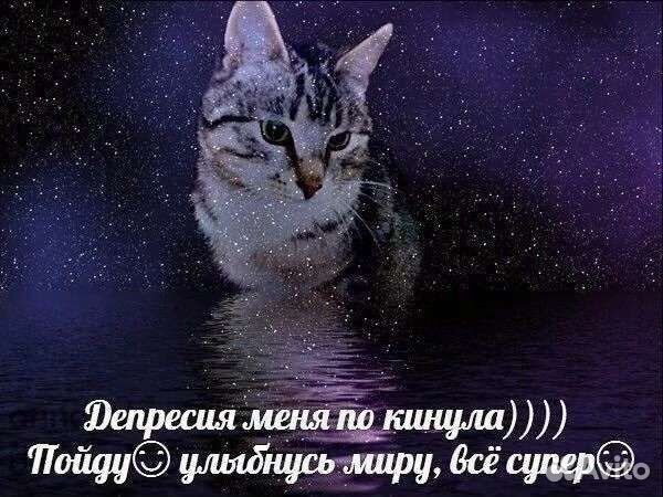 Друг на час