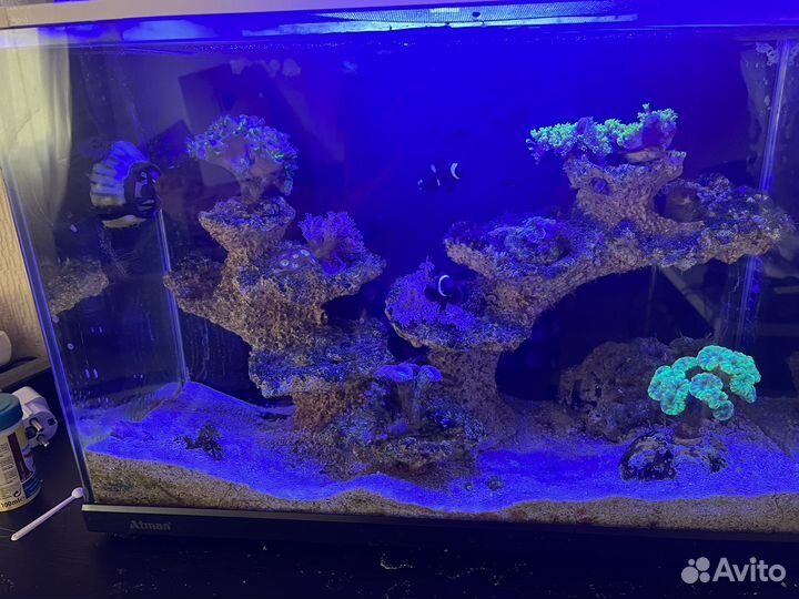 Морской аквариум