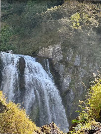 Камчатка летом тур путевка программы 7-9 дней