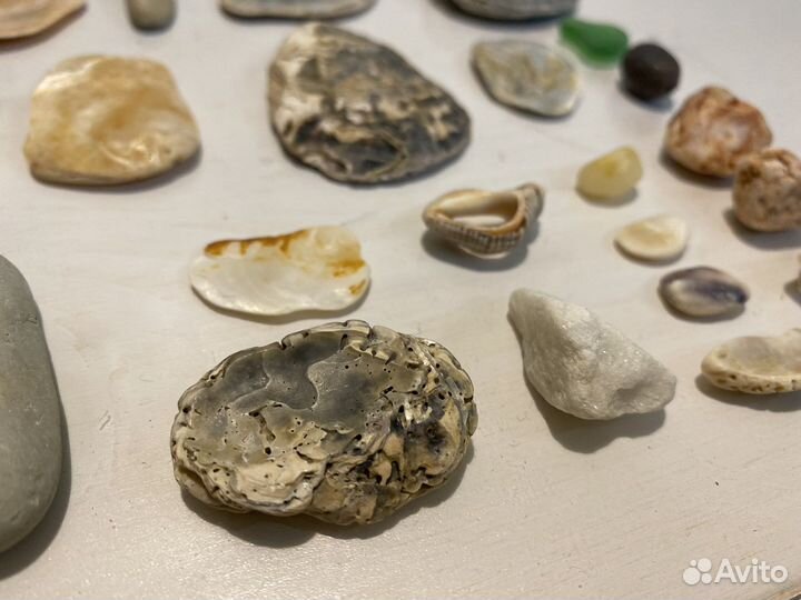 Морские ракушки камушки стеклышки