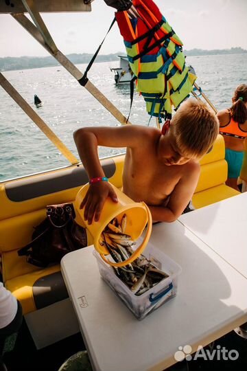 Рыбалка на 3 часа в Адлере / Сириусе