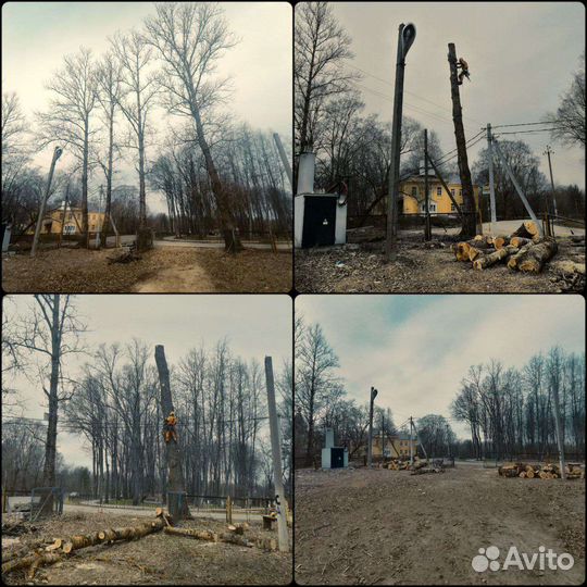 Спил деревьев уборка участков