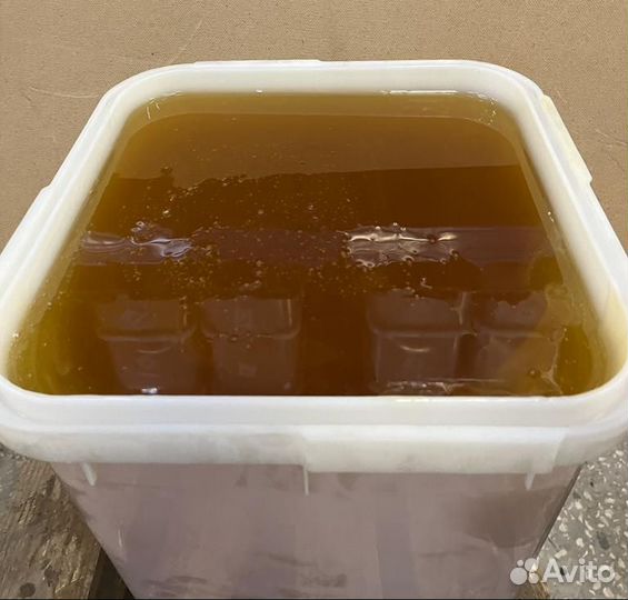 Натуральный майский мед оптом