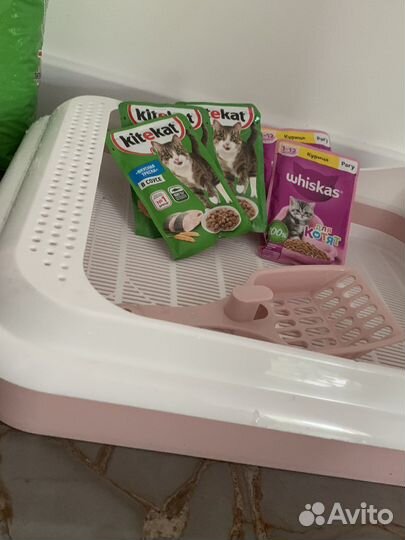 Лоток для кошек большой