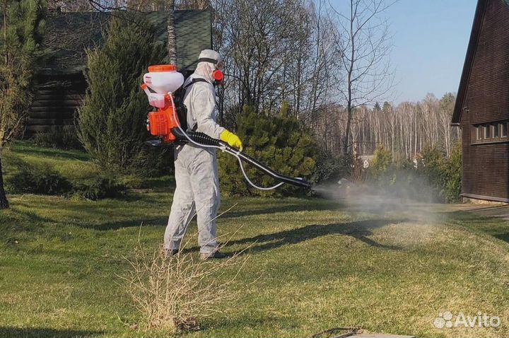 Уничтожение клопов тараканов грызунов блох