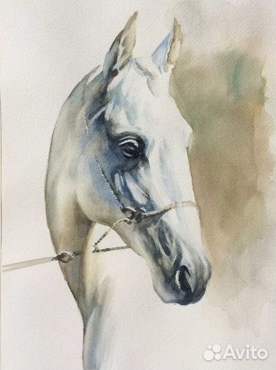 Картины коней маслом на холсте