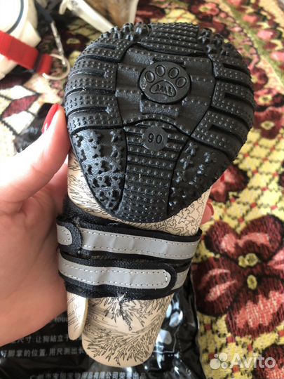 Ошейник дождевик кофта удавка рулетка