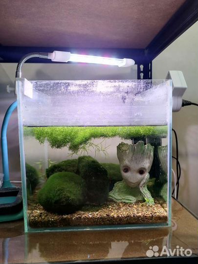 Аквариум