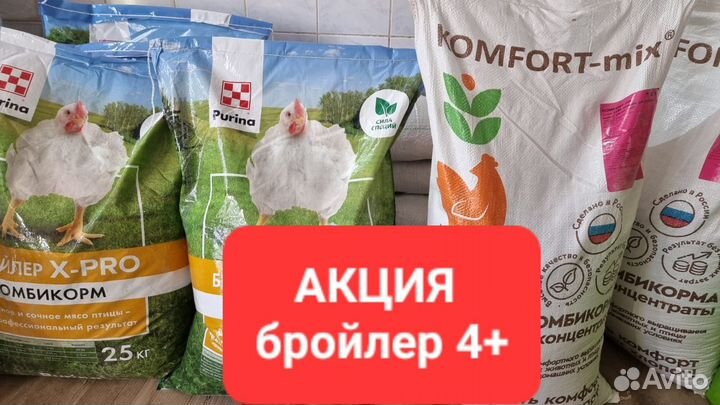 Комбикорм Пурина