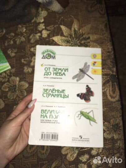 Зелёный дом от земли до неба