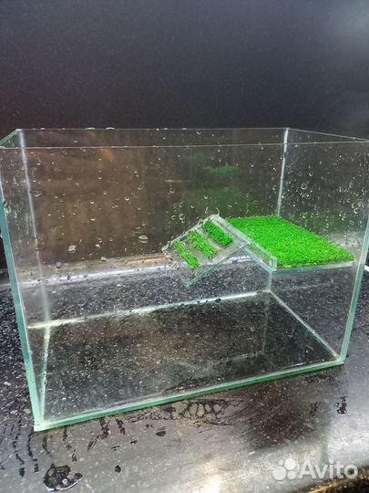 Террариум для черепахи