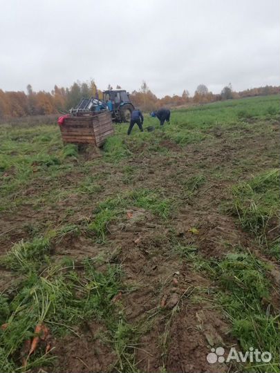 Грузчики и разнорабочие