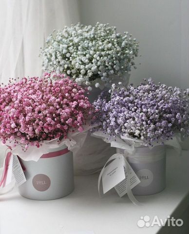 Шикарные композиции из Гипсофилы Нежные букеты купить в Санкт ...