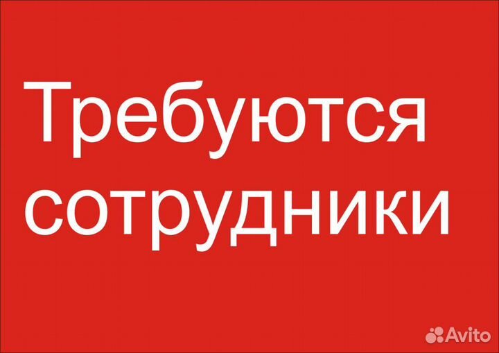 Выкладка товара в ночь (ксм)