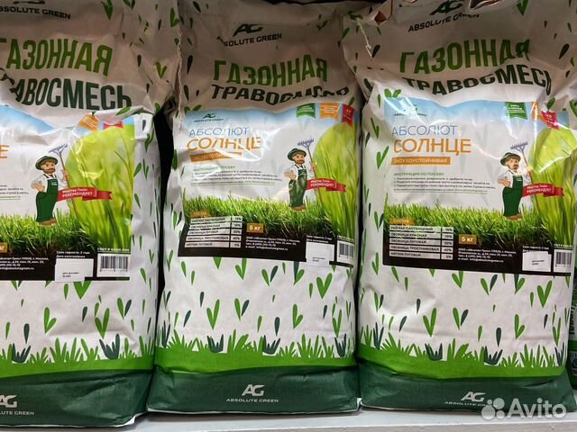 Газон Газонная трава Жаростойкая Абсалют Солнце