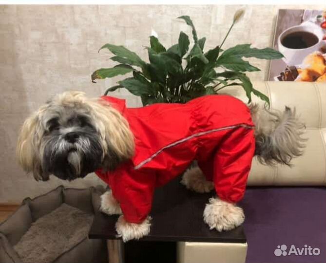 Дождевик для маленькой собаки XL