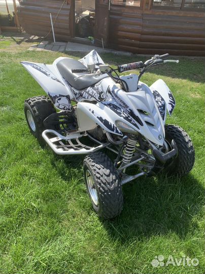 Yamaha raptor 350