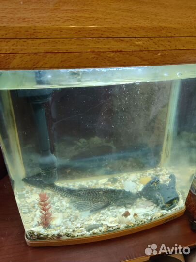 Аквариум Jebo R 338