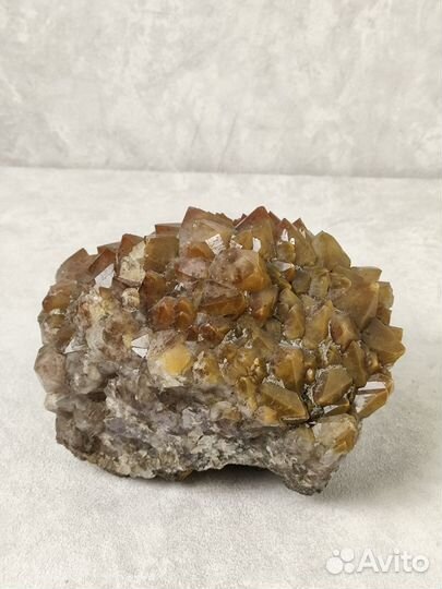 Друза кристаллов коричневого кварца