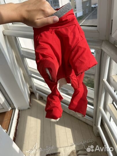 Комбинезон для собаки утепленный