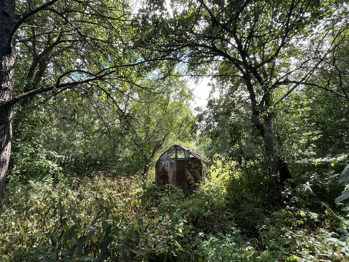 Участок 4 сот. (СНТ, ДНП)
