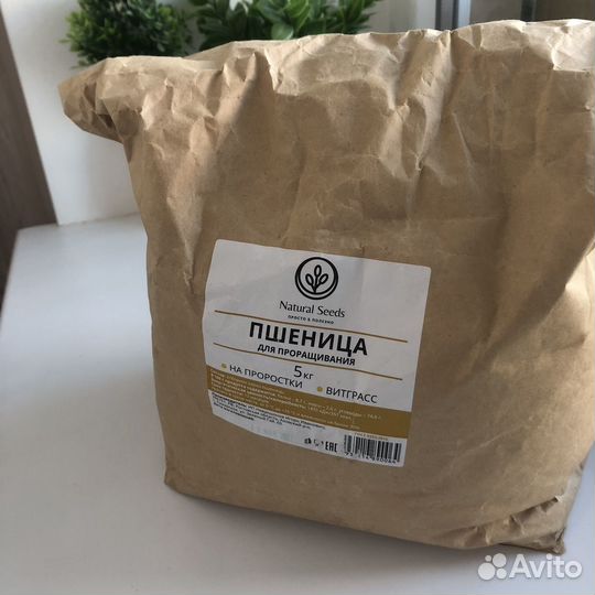 Пшеница для проращивания 4кг
