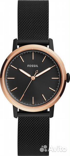 ES4467 Fossil