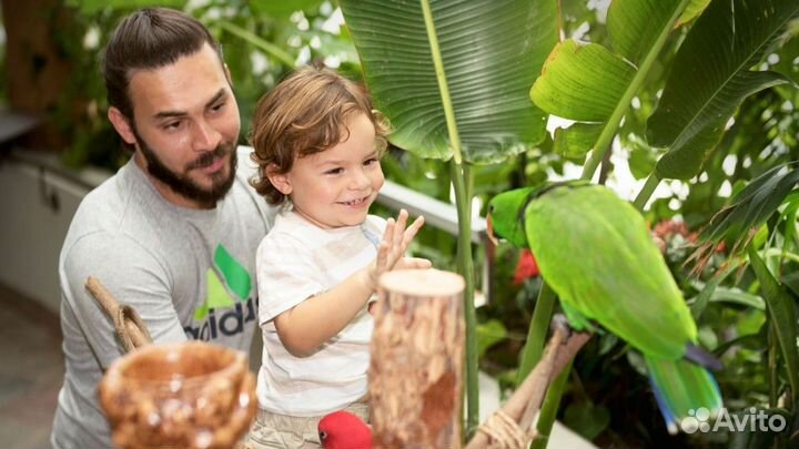 Экскурсия — Дубай — Джунгли Амазонии вДубае: билет