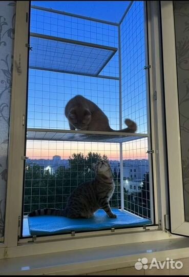Балкончик для кошек